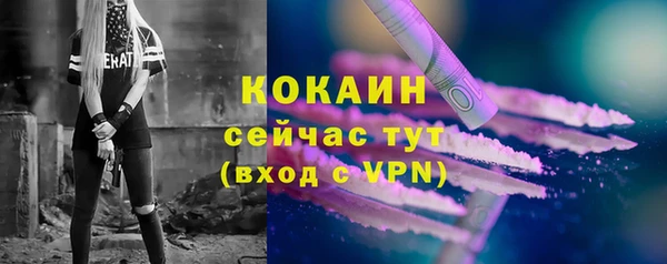 амф Пересвет