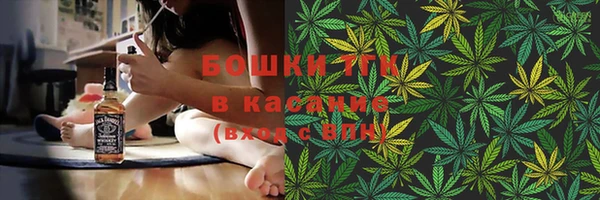 амф Пересвет