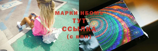 амф Пересвет